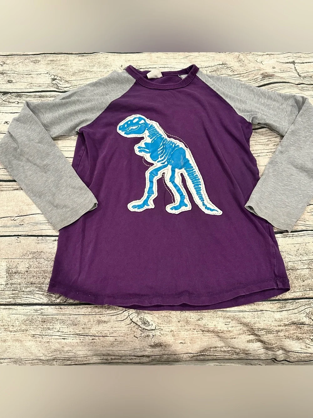Mini Boden Purple Raglan Tee with Blue appliqué Dino Graphic and Gray Sleeves 12